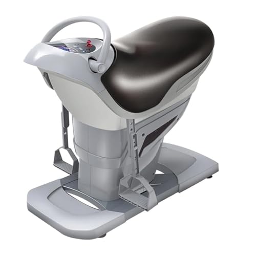 Indoor Horse Riding Machine, 20 Speed Electric Horse Riding Simulator, Improve Balance & Burn Fat Quickly, with Bluetooth Functi