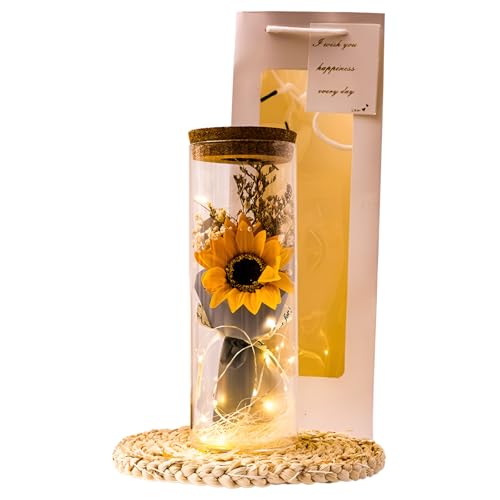 [Caividom]vU[uht[  {  ̂悤 ͂Ȃ  ybg t[ AWg  TCY RpNg 㕧d CG[  Q   茳{  {iI  El  KX h[