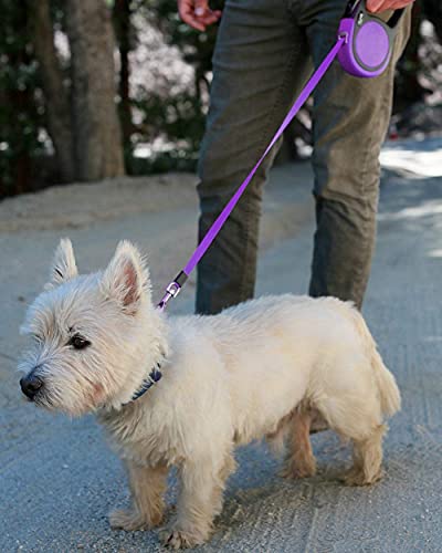 Taglory Hundeleine Rollleinen für Kleine und Mittelgroße Hunde bis 20kg, Hundeleine Ausziehbar mit Anti-Rutsch Griff, Ausziehleine mit Sicheres Bremssystem, Lila, 5m