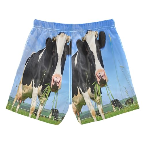 Swim Shorts for Boys, Anti-Chafe Swim Trunks Boys 2 T, Black White Cow Eating Grass Meadow Blue2