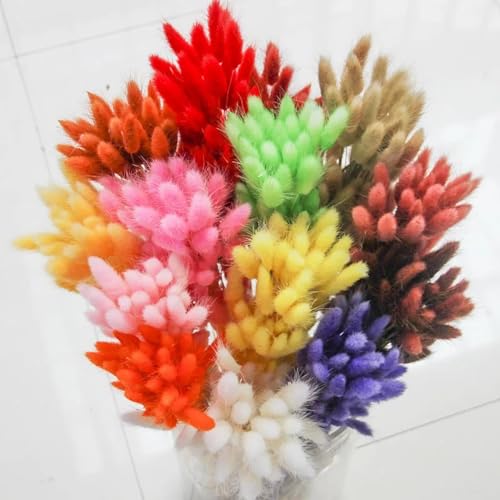 Decoración con Pasto Pampas Seco 50 Piezas 45 cm miniatura 5