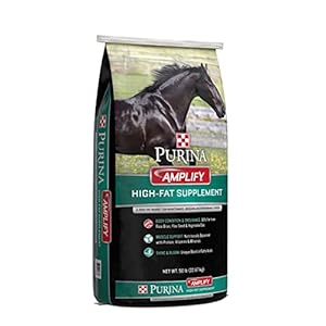 Purina, Amplify Equine, High-Fat Horse Supplement for Maintenance, Breeding, & Performance Horses, 50 lbs