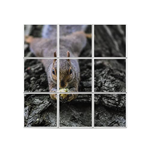 Carreaux Céramique Écureuil Roux décoratifs pour créer une ambiance nature dans votre salon