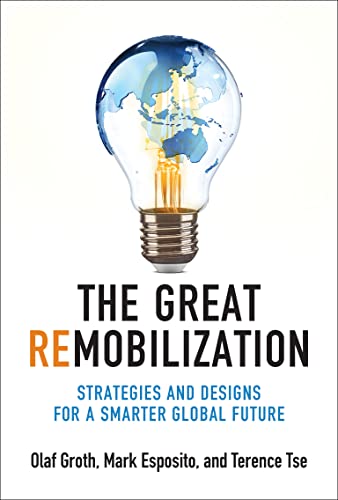 The Great Remobilization: Strategies and Designs for a Smarter Global Future (English Edition)