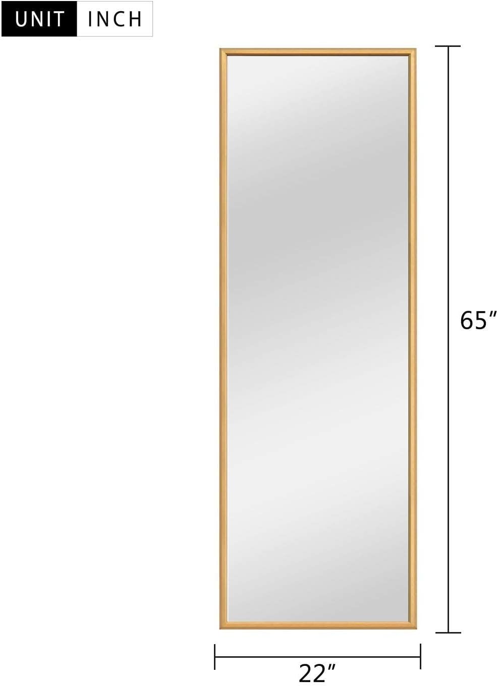 NeuType Full Length Mirror Floor Mirror with Standing Holder Bedroom/Locker Room Standing/Hanging Mirror Dressing Mirror Wall-Mounted Mirror (Titanium Gold) 65"x22"