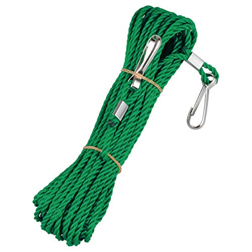 ^JY [v-A PPiXJt[v 4×10