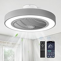 LEDIARY 20 Inch Low Profile Ceiling Fans With Lights, Led