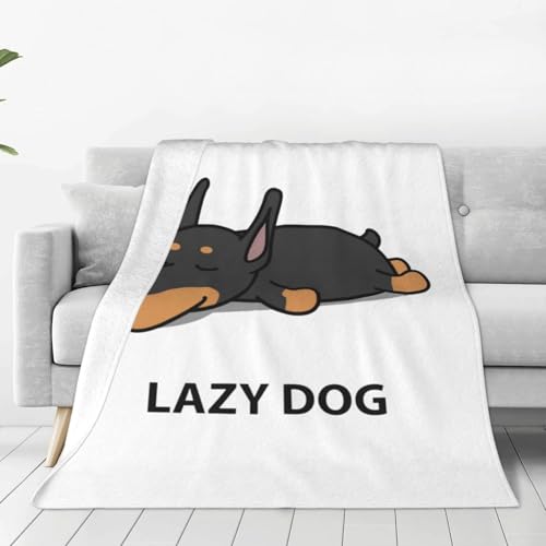 ѕz  h[x}  Aj y uPbg tl 􂦂 ÓdCh~ g _炩 ӂӂ lGKp 125cm×150cm