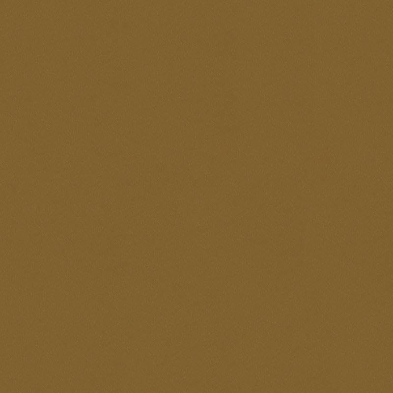 R&E Paint Supply Compatible with Nissan CAH, Golden Ginger Automotive Paint, Pint