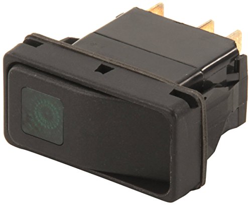 Switch, Power W/Light 250Vac,