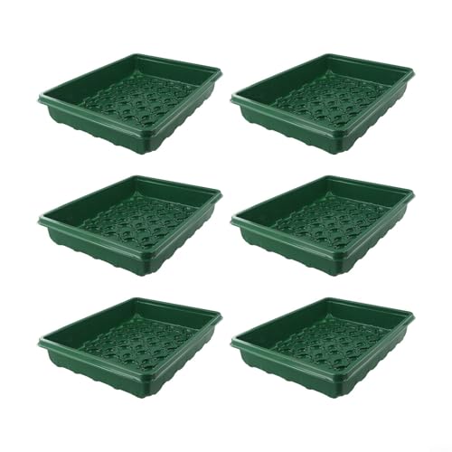 Châssis de croissance pour plantes succulentes en plastique compact - 2