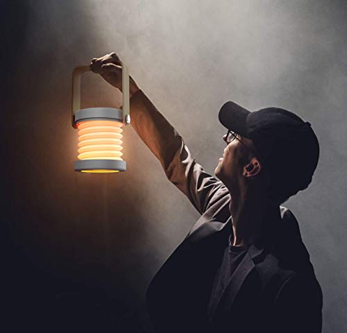 Sumgott - 1 telescopico con manico, in