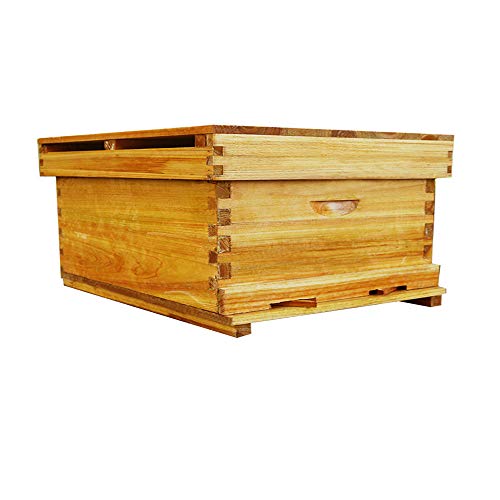 CHCHQ Beekeeping Tools, Classic Wax-Cooked Beehives, Standard Ten-Frame Hive For Bees In Chinese Fir, Dedicated Beekeeping Bags For Beekeepers