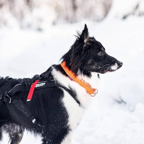 Non-stop dogwear Non-Stop Safe Collar - 30