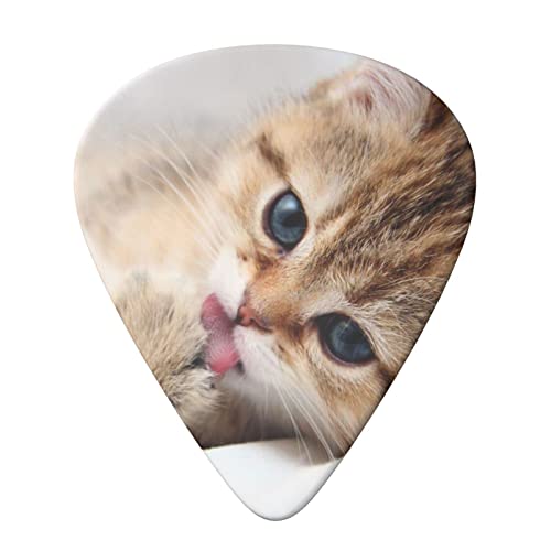 ASDTEHCY Lot de 6 médiators en celluloïd à motif chat pour guitares acoustiques électriques, basses ou ukulélé - Les Beatles, Paul McCartney, John Lennon, RIngo Starr, George Harrison ASDTEHCY Lot de 6 médiators en celluloïd à motif chat pour guitares acoustiques électriques, basses ou ukulélé – Image 4