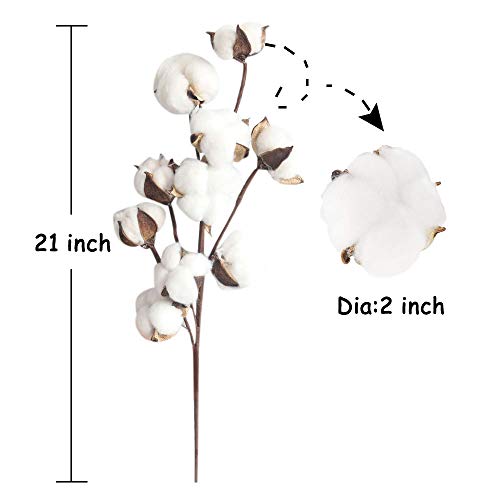Panxxsen 4 Pcs 21 Inch Cotton Stems,10 Balls Natural White Cotton Artificial Cotton Branch,Farmhouse Style Cotton Floral Picks for Home Wedding Decoration