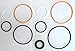CWH 3520VSK - Replacement Seal Kit for 3520V Pump