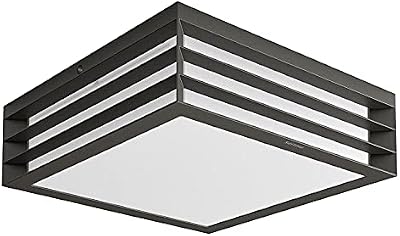 Philips Lighting myGarden MoonshinE Aplique y/o plafón, iluminación exterior, resistente a la humedad y la intemperie, IP44, casquillo E27, antracita