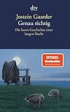 Genau richtig: Die kurze Geschichte einer langen Nacht - Jostein Gaarder Übersetzer: Gabriele Haefs 
