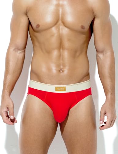 Arjen Kroos Men's Cotton Underwear Moisture Wicking Briefs Anti-chafing Underpants3