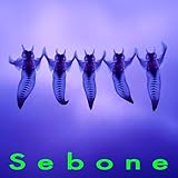 なんとも思ってない 歌詞