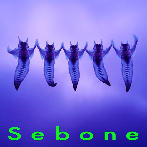 【Amazon.co.jp限定】Sebone -脊髄盤- - とた (メガジャケ付)の商品画像