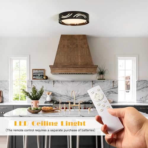 foucasal Modern Dimmable LED Flush Mount Ceiling Light with Remote, 2400LM 2700K-6500K Adjustable 12 Inch Bedroom Ceiling Light with Night Light for Kitchen Hallway Bathroom Living Room (Black, Arc by foucasal - Image 5