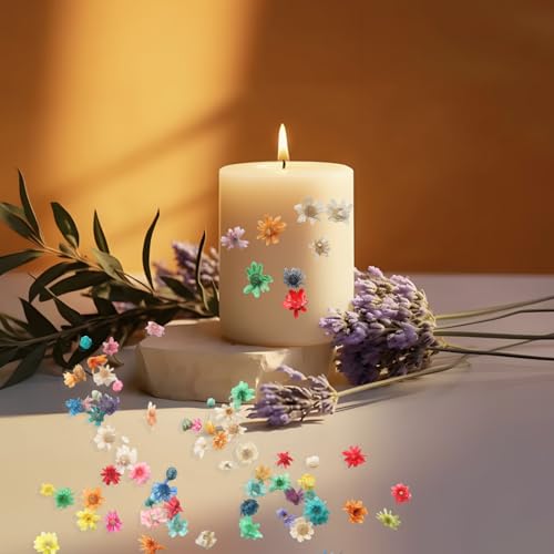 280 mini flores secas para manualidades y resina miniatura 4