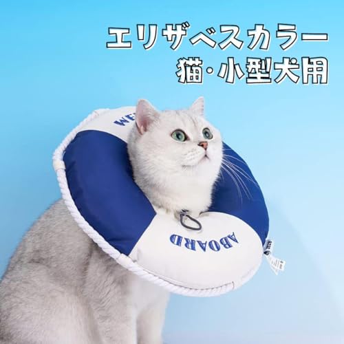 L GUxXJ[ y _炩 p ی ^p