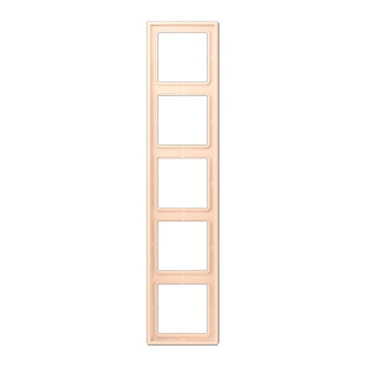 Cadre quintuple LC32123 boîtier interrupteur 5 postes JUNG LC985238