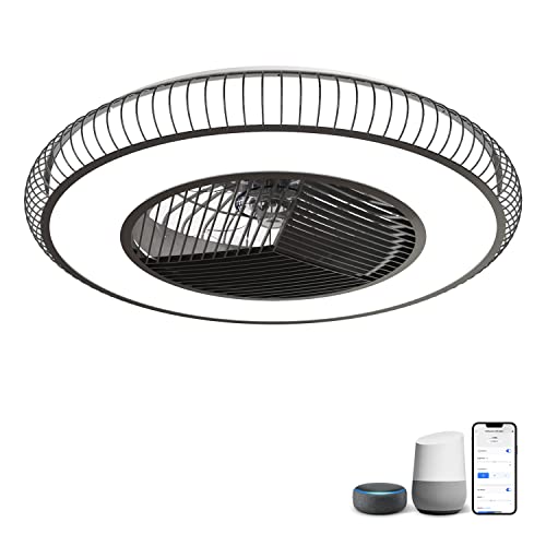 JHHF Ceiling Fan with Lights,Dimmable Fan Lighting with Remote Control
