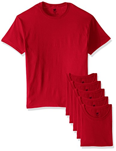 Image of Hanes Men's Ecosmart T-Shirt (Pack of 6)