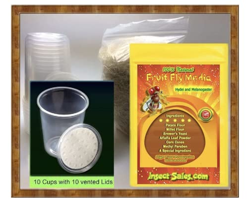 Insectsales.com Fruit Fly Culture Kit (Hydei Or Melanogaster) Will Make 10 Awesome Cultures