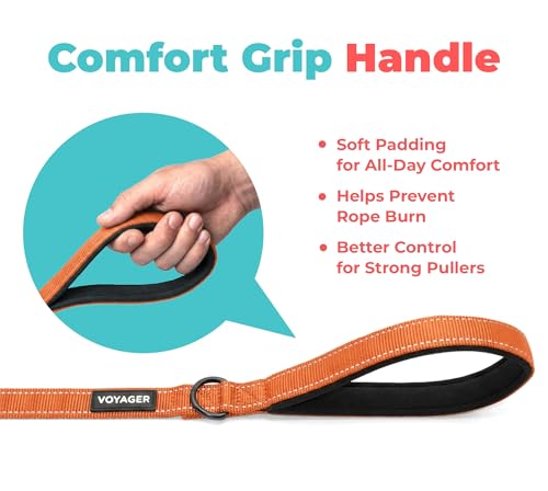 Image of Best Pet Supplies Voyager Reflective Dog Leash or Collar with Neoprene Handle, for Small, Medium, and Large Breed Puppies, Cute and Heavy Duty for Walking, Running and Training - Orange (Leash), L