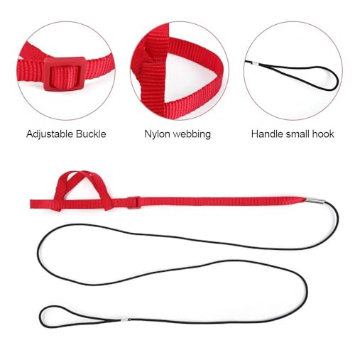 Image of Parrot Harness Leash, Anti Bite Bird Training Leash Adjustable Parrot Flying Rope for Parrot Budgerigar Lovebird Cockatiel