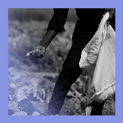 Food awakening: Iran&rsquo;s ripple effect