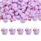Couleur: Violet; Matériaux: Résine; Taille: 1.5x1.6cm/0.59x0.63 pouce (LxL); Contenu: 60 Paquets De Mini Canards En Résine