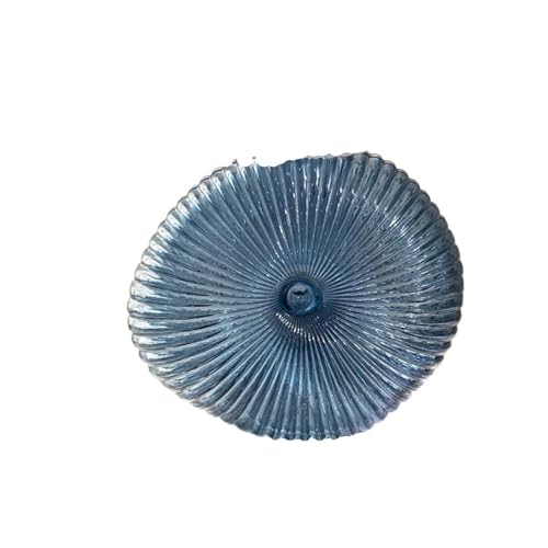 Vase hydroponique ovale fileté JFDBGU petit modèle pour table