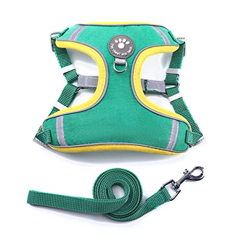 Phantasmia ^pn[lX \ ʋCf ˃XgCvt OU ANeBreBΉ