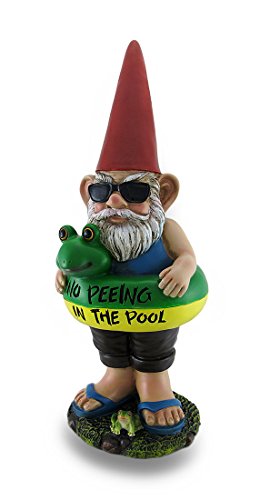Estatua Gnomo Monitor de Piscina No Orinar