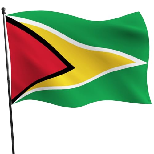Drapeau de la Guyane résistant au vent avec 2 oeillets pour extérieur - 4