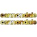 Cannondale Scalpel Carbon 2 2021 Aufkleber aus Vinyl, Chrom Gold