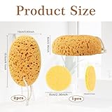 Body Bath Sponge 3 PCS Natural Sponge for Shower Sea Sponge Large Soft Honeycomb with Dense Foam for Gentle & Deep Cleansing Ultra-Soft for Sensitive Dry Skin Bring Face Wash Puff - Image 2