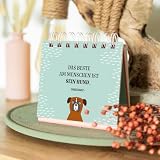 Dog Philosophy: Was für ein Hundeleben! Humorvoller Sprüche-Aufsteller für Hundeliebhaber mit Hundeillustrationen, Hundefotos und Aphorismen (Geschenke für Hundeliebhaber)