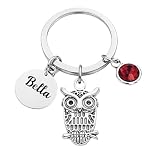 Infinity Collection Personalized Owl Keychain with Name Engraved Tag and Birthstone Charm, Silver Tone Owl Pendant Key Ring, Custom Animal Gift for Women Girls Teachers
