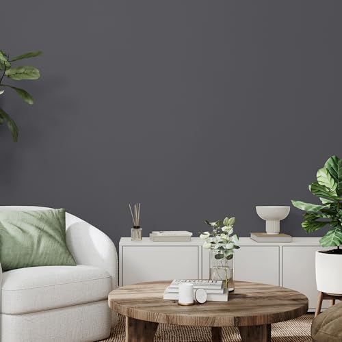 Image of Rust-Oleum Color Spark Interior Paint and Primer in One, Matte, Carbon Copy, 1 Gallon