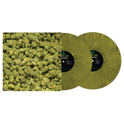 Album Art for Dr. Dre - 2001 Instrumental Vinyl, LP by Dr. Dre