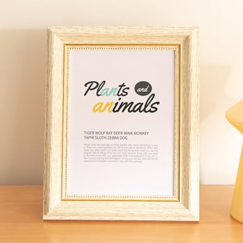 [LSDZW] tHgt[    tHg t[ z 21.3*26.5cm a4 t[ A[gt[ ؖڒ uE zCg Ebht[ ʐ^  Ǌ| j oYj Vzj EFJ{[h v