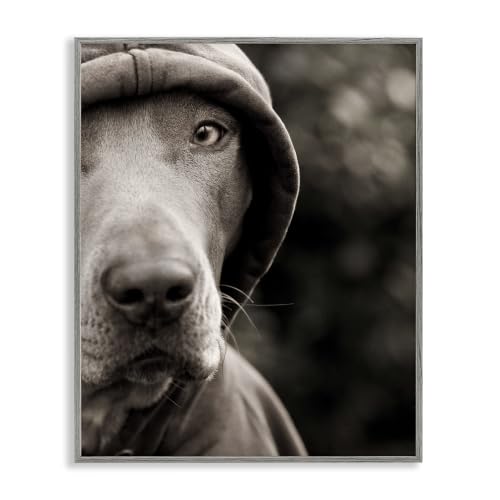 Dog Wearing Hooded Sweater Close-Up, 24 x 30 Inch Framed Giclée Print