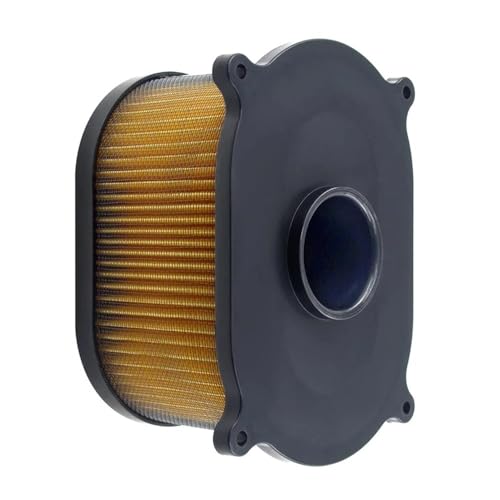 Filtre à air d'admission moto haute filtration pour GT250R et GT650R